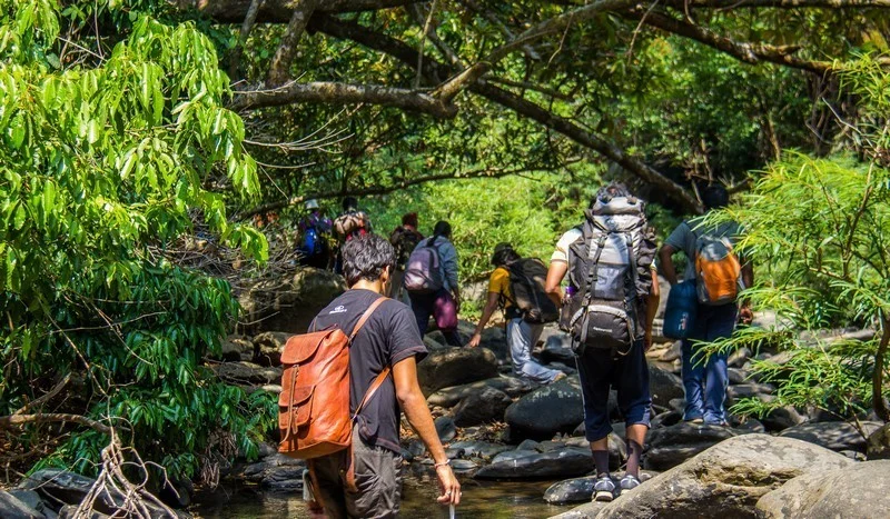 Jungle Trek