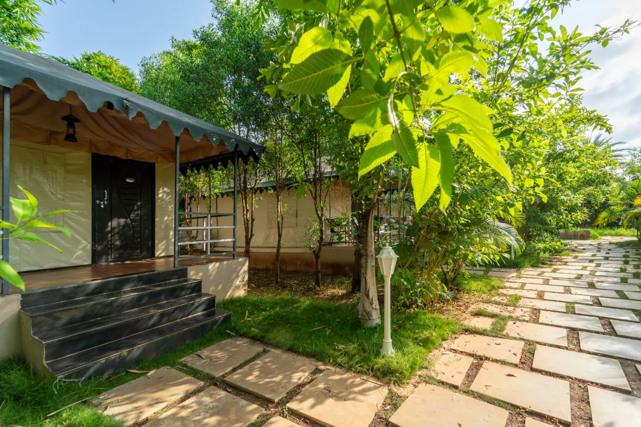 Luxury Maharaja Tent accommodation at Fortune Wood Resort